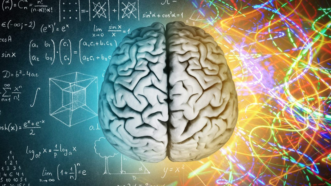 Brain 'n' Memory - Fit 'n' Vit - Shipping globally from the UK
